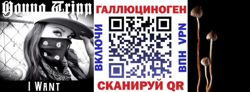 Купить закладки  Завитинск  Псилоцибиновые грибы Magic Shrooms 